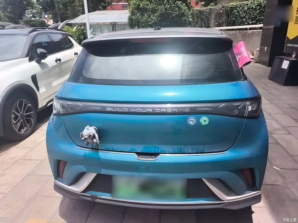 BYD Dolphin, 2022 4