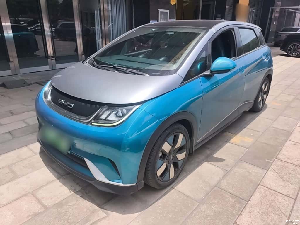 BYD Dolphin, 2022 1