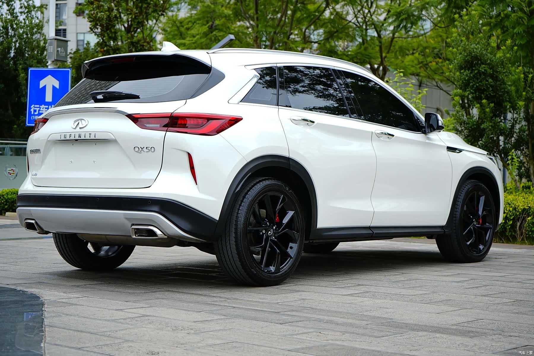 Infiniti QX50, 2024 все фото