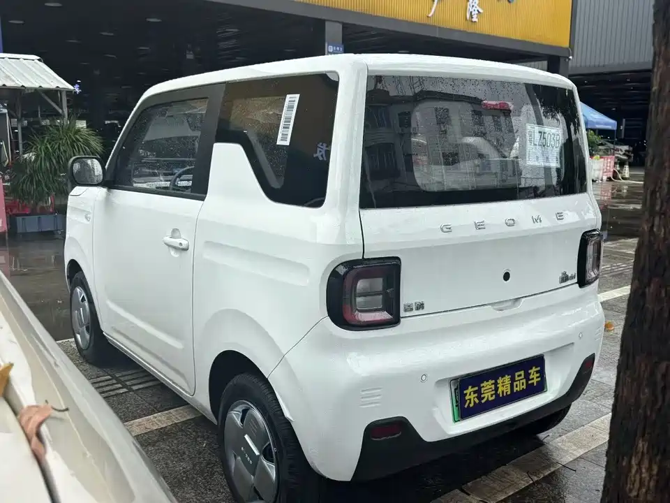 Geely Galaxy panda