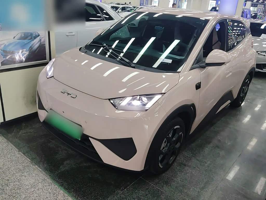 BYD Seagull