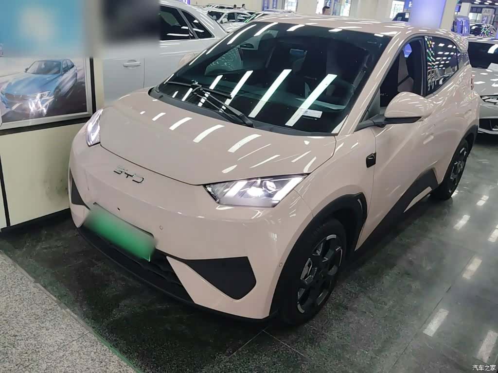 BYD Seagull, 2025 1