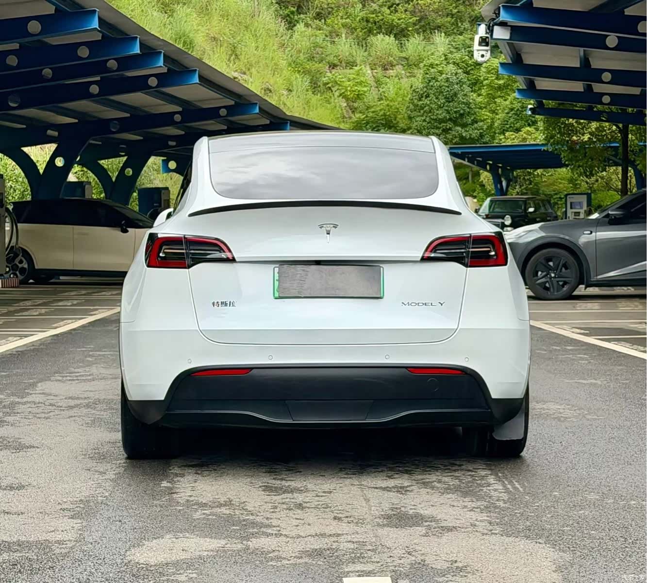 Tesla Model Y, 2023 все фото