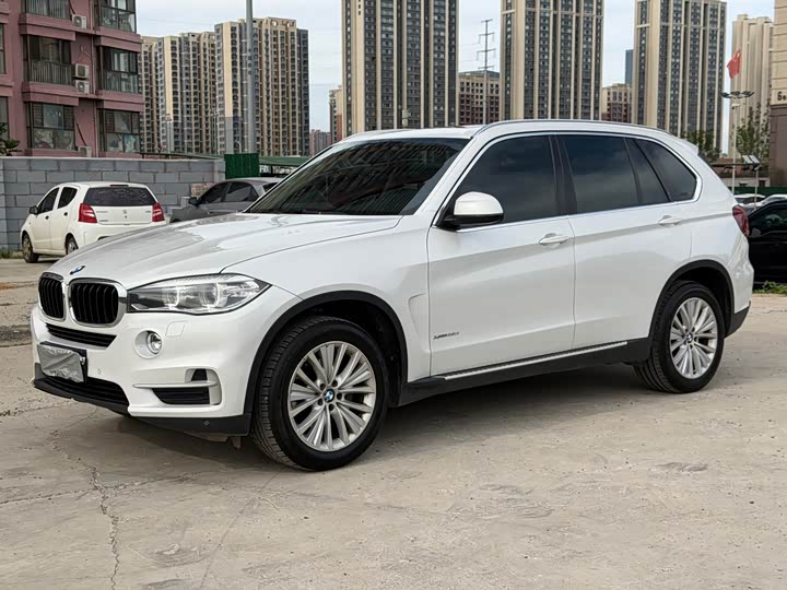 BMW X5 2014 xDrive35i Leading