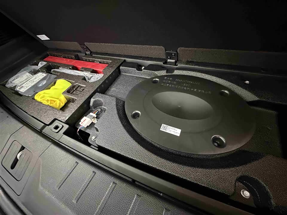 Trumpchi Trumpchi ES9