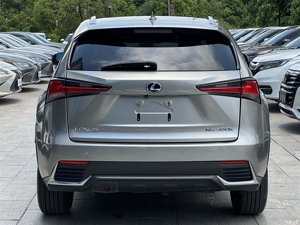 Lexus NX, 2020 4