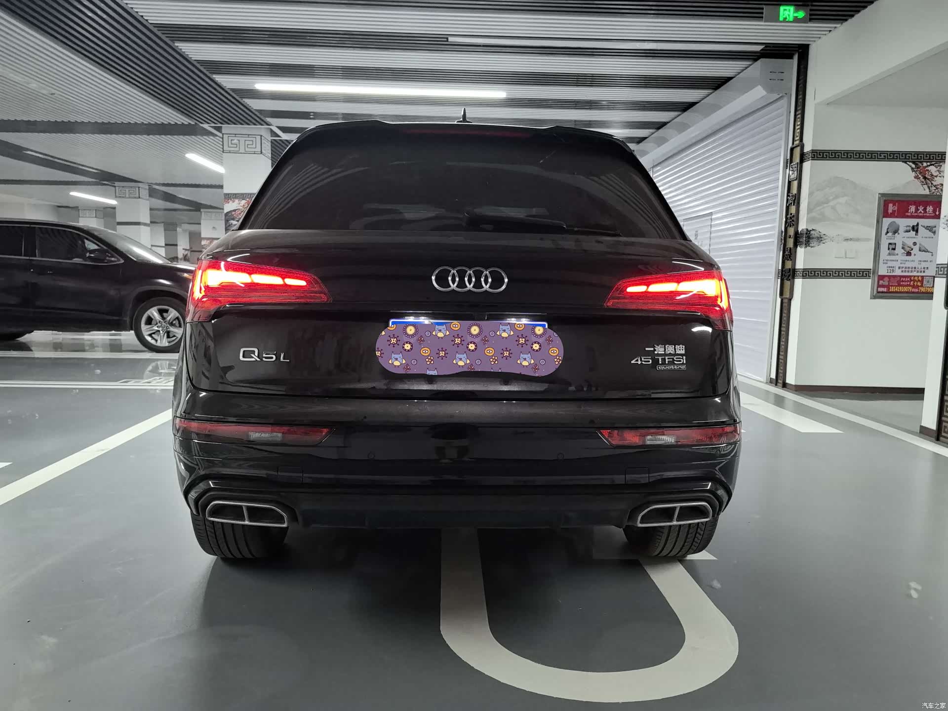 Audi Q5L, 2024 все фото