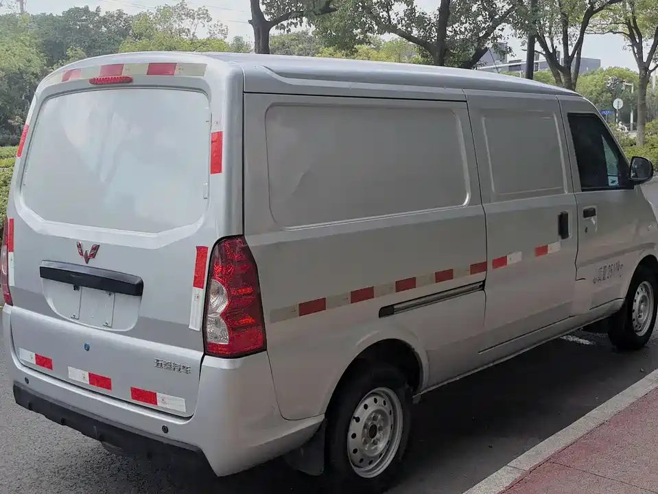 Wuling Wuling EV50