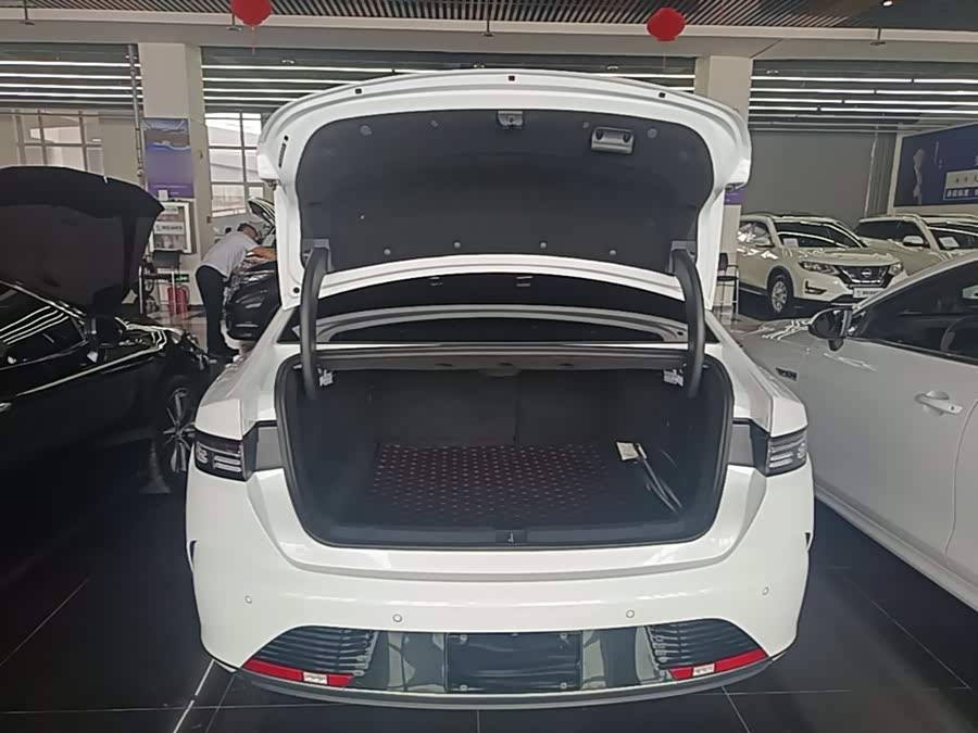 BYD Destroyer 05 2023, фото 19