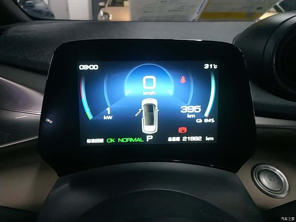 BYD Dolphin, 2024 12