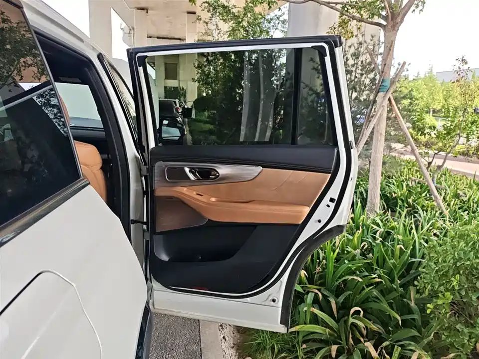 Trumpchi Trumpchi ES9