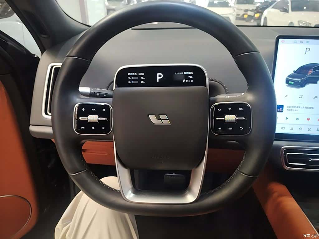 Li Auto L9, 2024 11