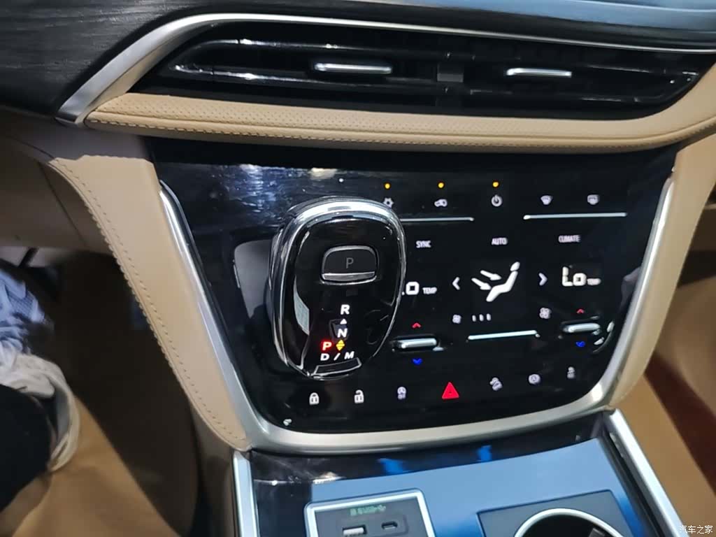 Buick GL8, 2020 14