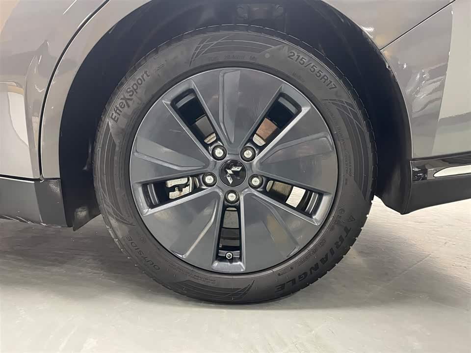 Wuling Wuling Starlight