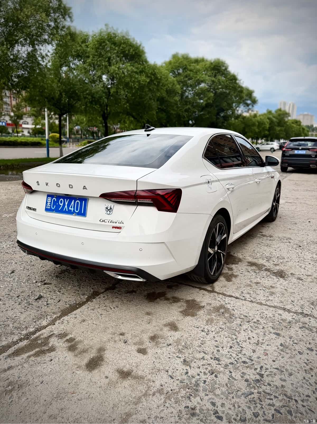 Skoda Octavia, 2022 6