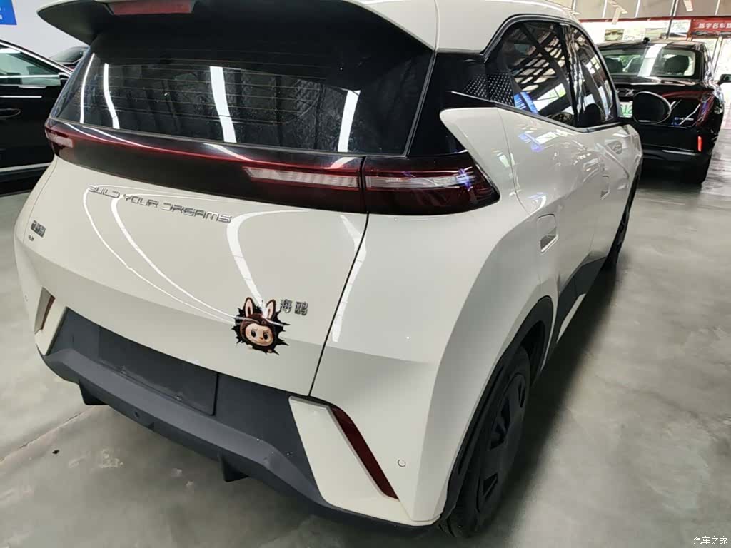 BYD Seagull, 2024 8
