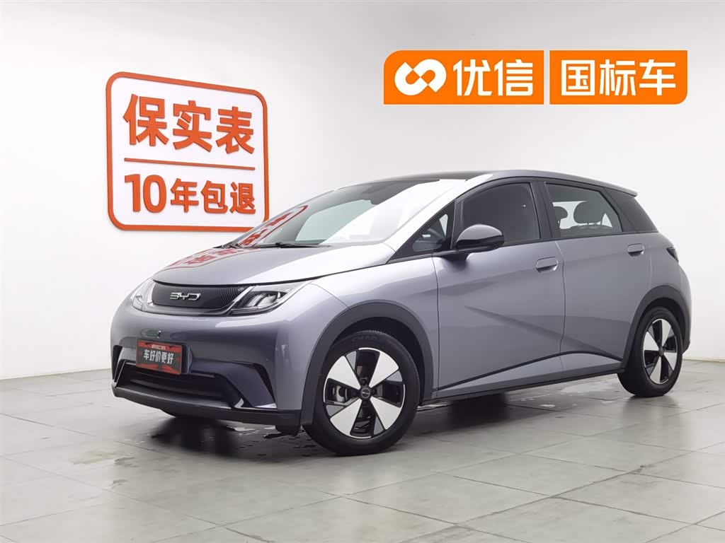BYD Dolphin