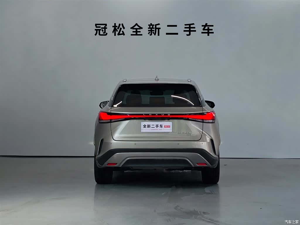 Lexus RX, 2023 все фото