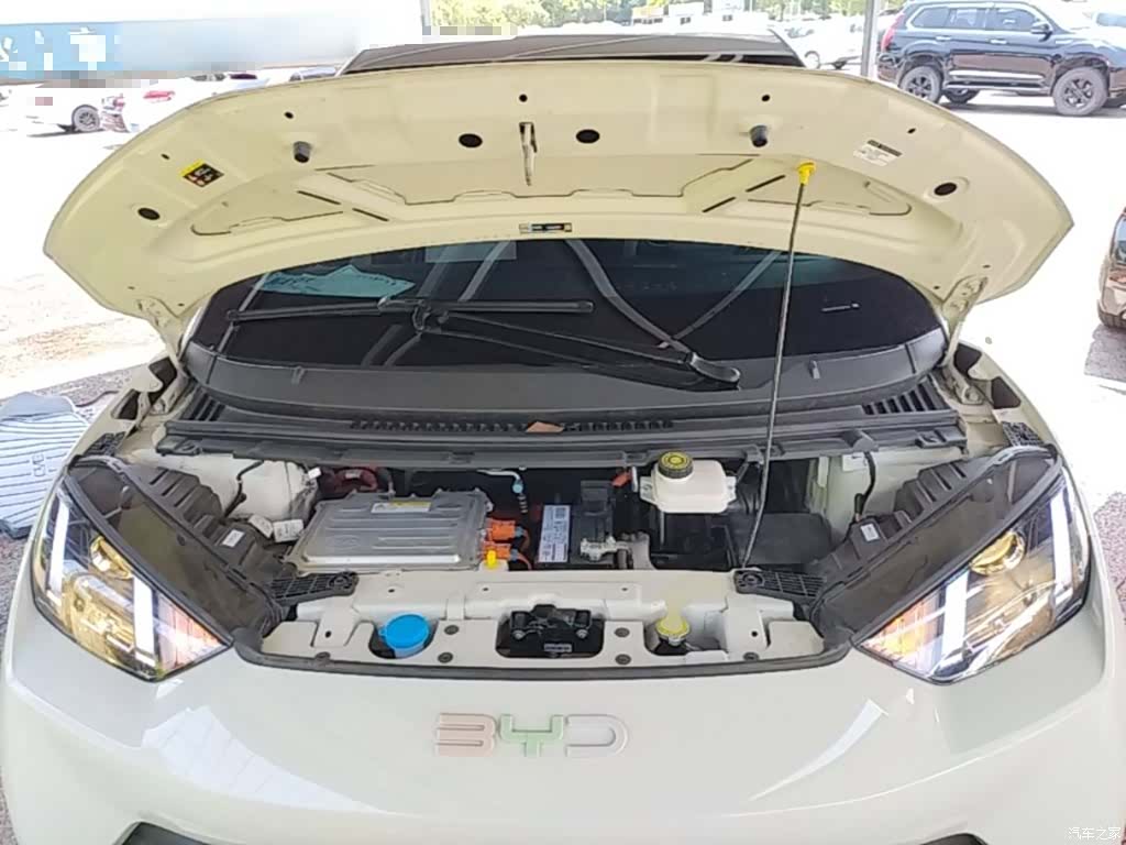 BYD Seagull, 2024 20