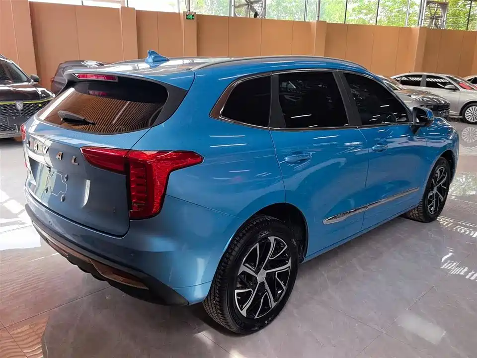 Haval First love