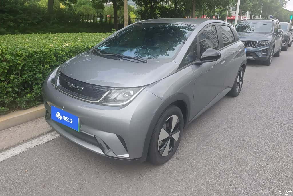 BYD Dolphin, 2024 1