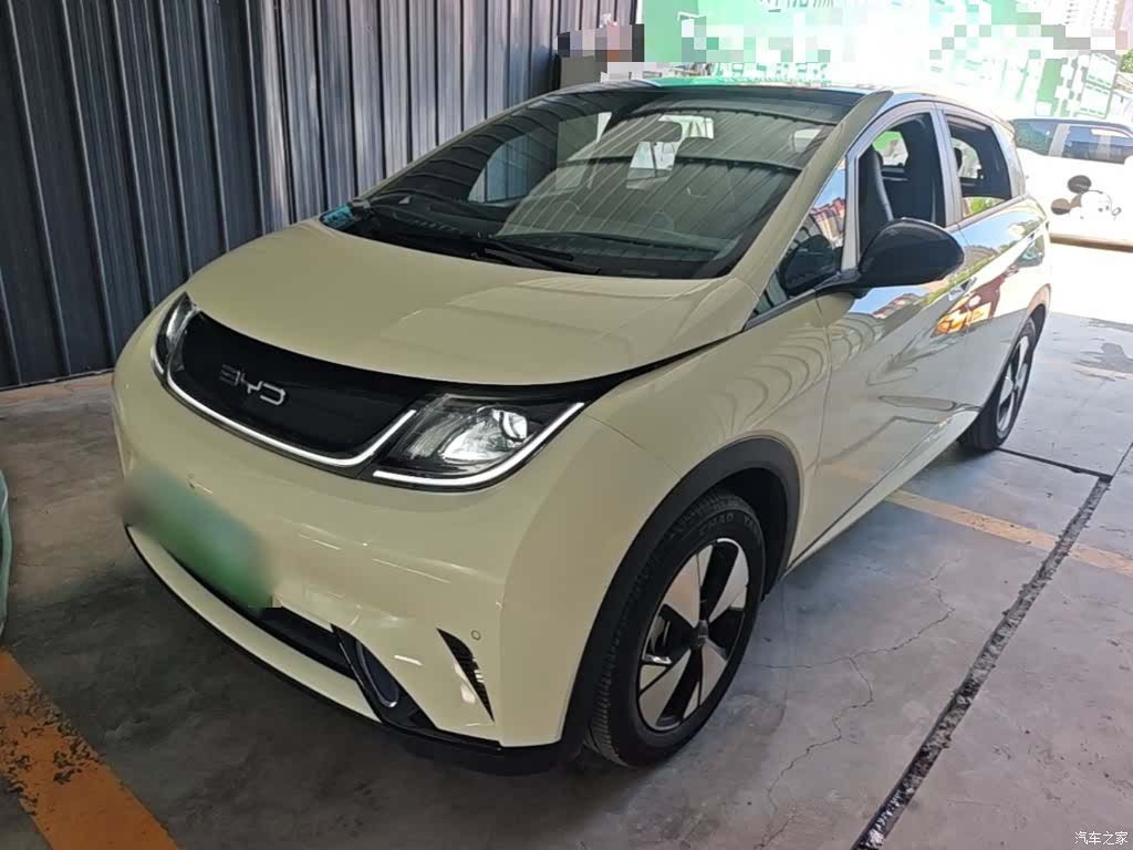 BYD Dolphin, 2024 2