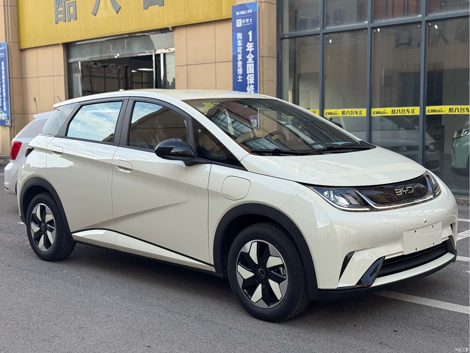 BYD Dolphin, 2026 1