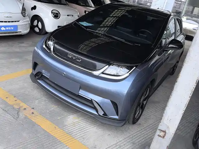 BYD Dolphin 2024 — купить из Китая под заказ
