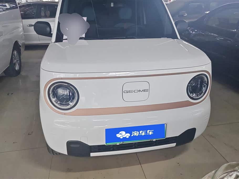 Geely Galaxy panda Geely Galaxy panda