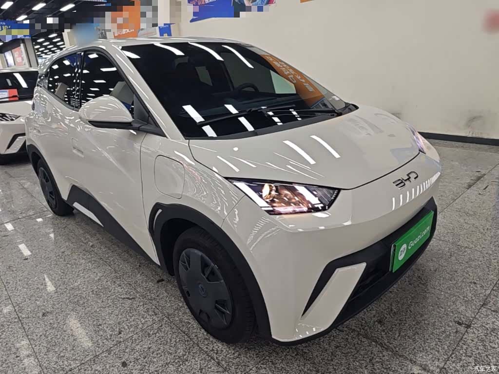 BYD Seagull, 2024 4