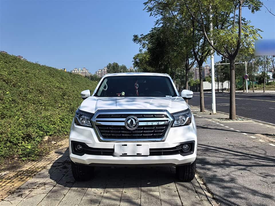 Dongfeng Ruiqi 6