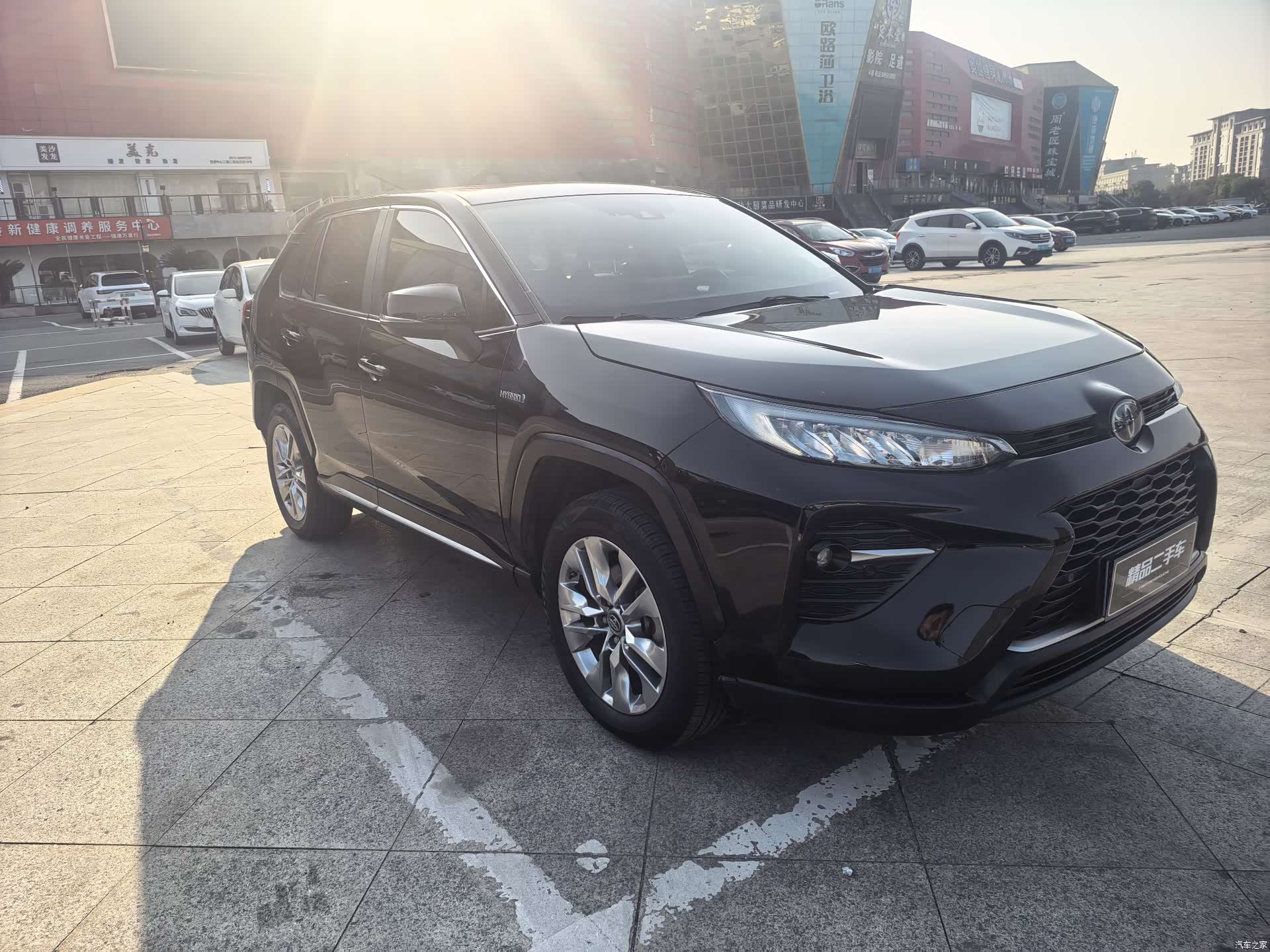 Toyota Wildlander, 2021 3