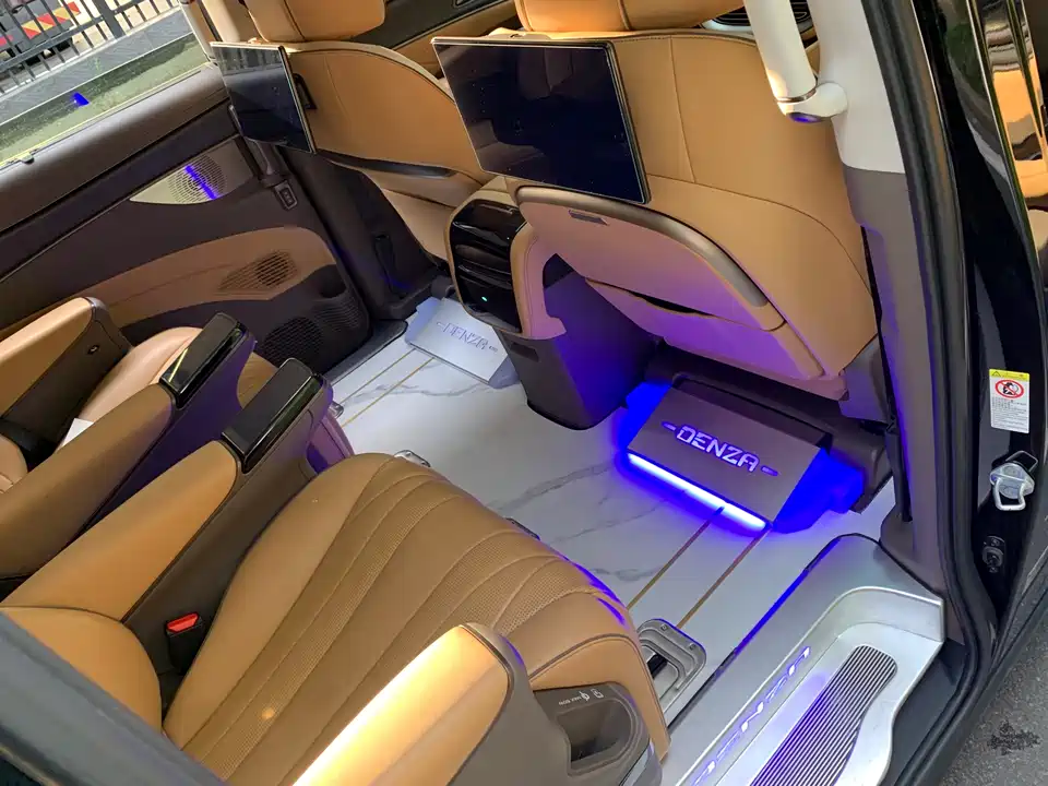Denza D9