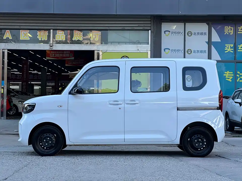 Wuling Wuling Zhiguang