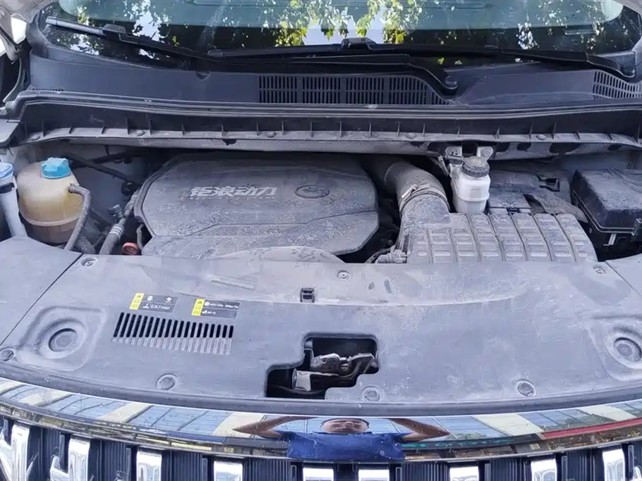 Trumpchi Trumpchi M8