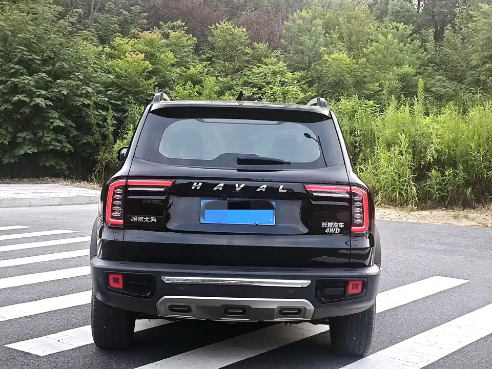Haval Big dog