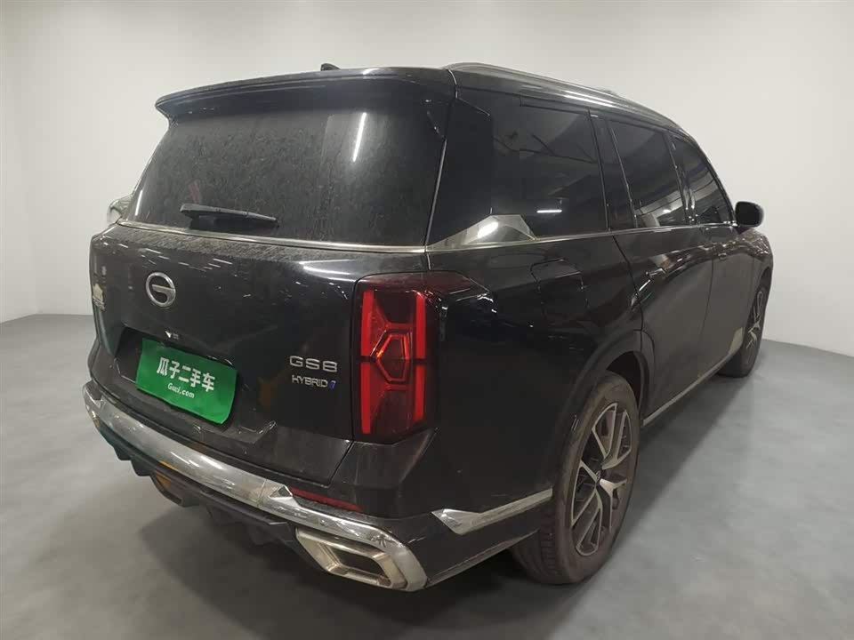Trumpchi Trumpchi GS8