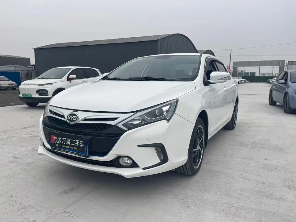 BYD Qinxin Energy