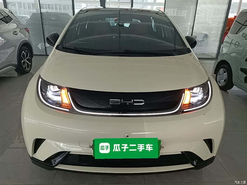 BYD Dolphin, 2024 3