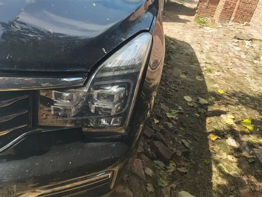 Trumpchi Trumpchi GS8