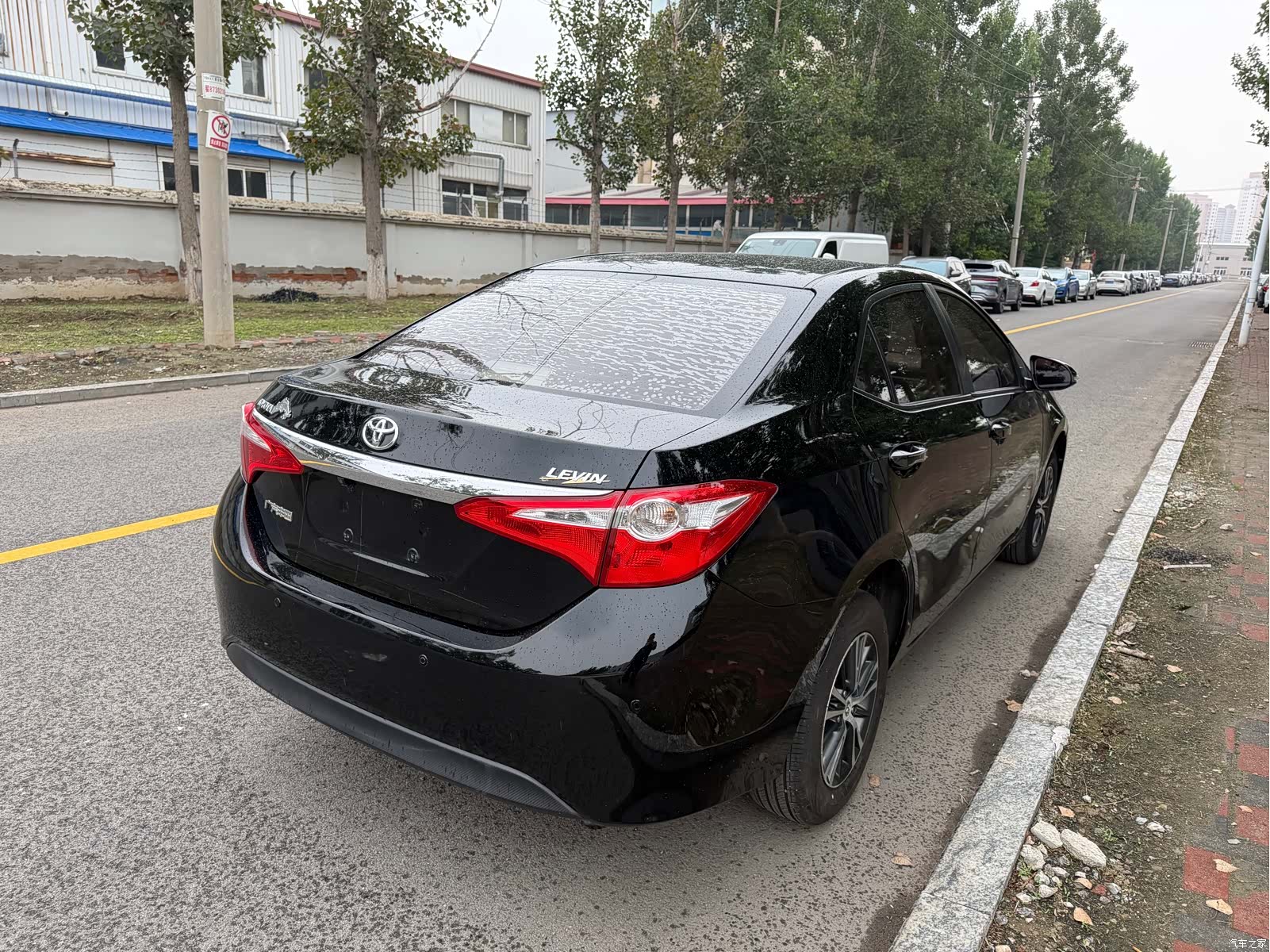 Toyota Levin, 2016 12