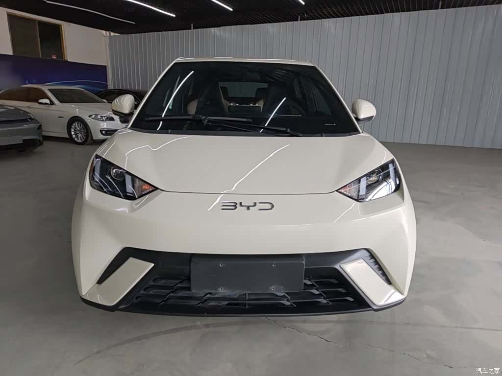 BYD Seagull, 2024 3