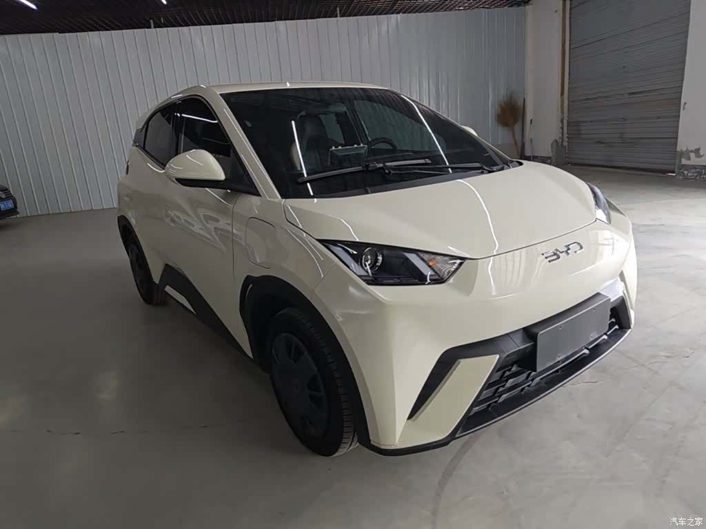 BYD Seagull, 2024 4