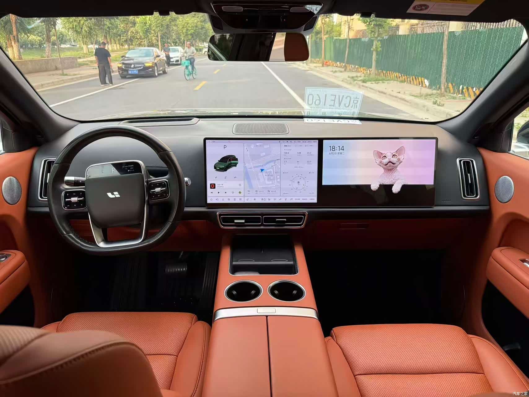 Li Auto L9, 2023 все фото