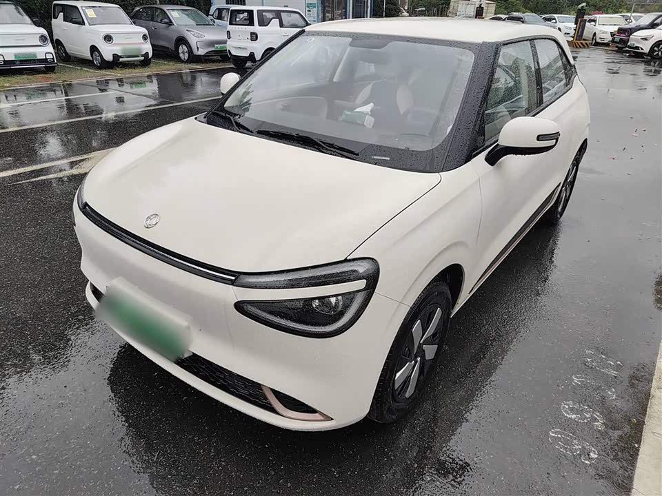 Dongfeng Nammi Nano 01
