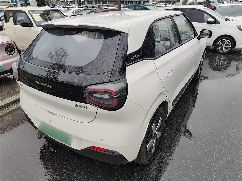 Dongfeng Nammi Nano 01