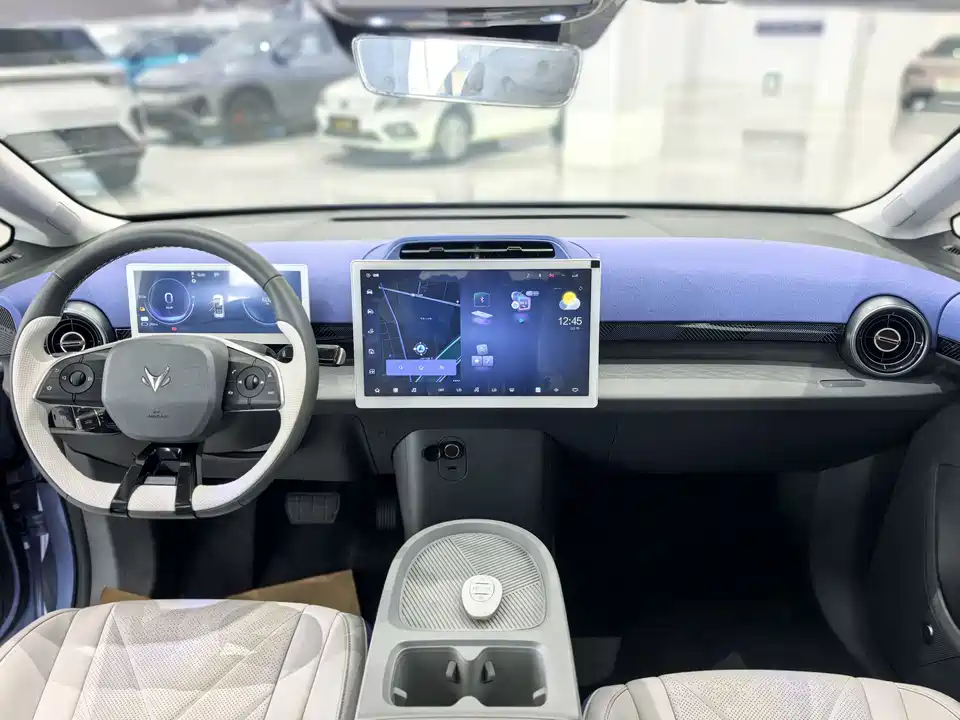 ARCFOX Polar fox koala