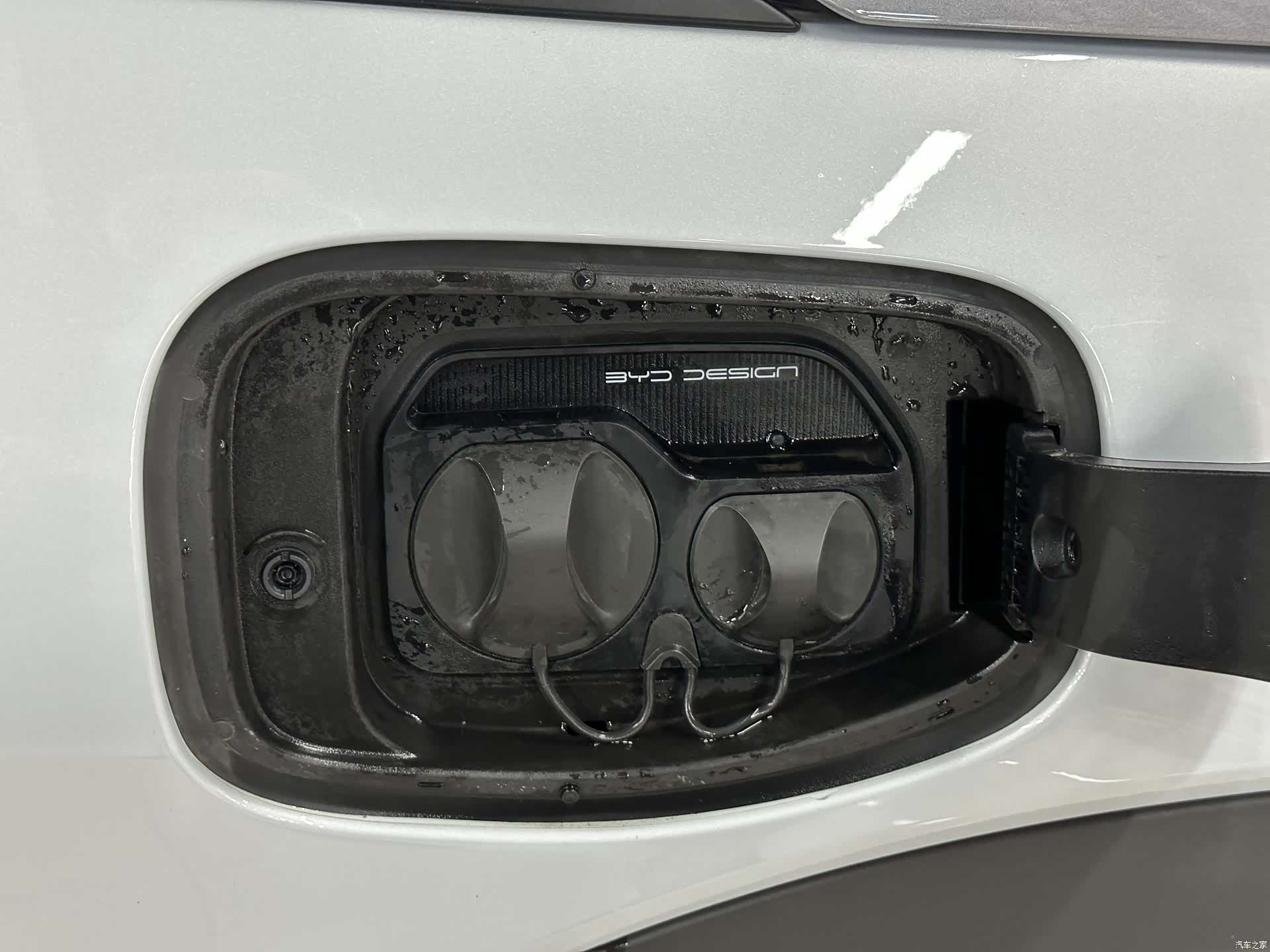 BYD Dolphin, 2022 11