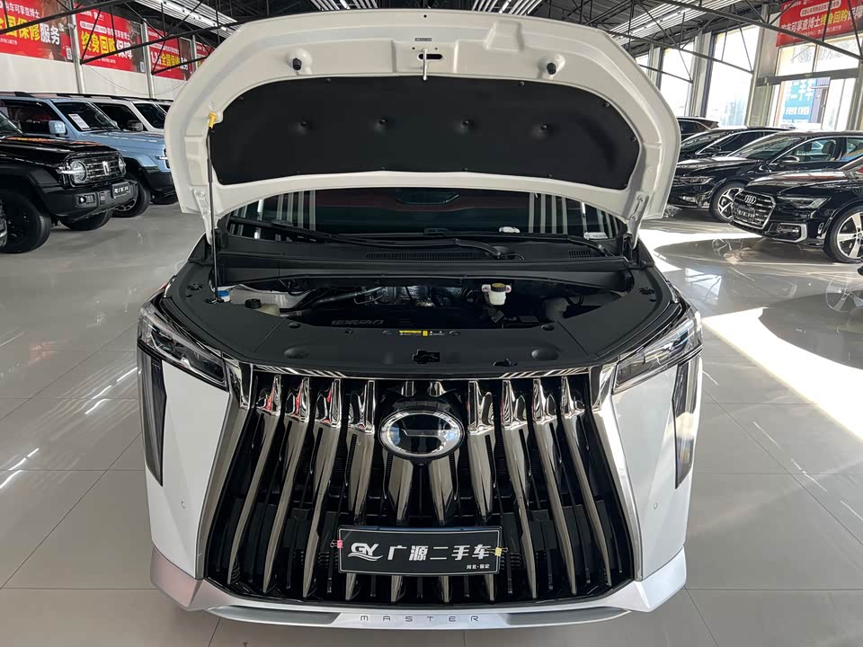 Trumpchi Trumpchi M8