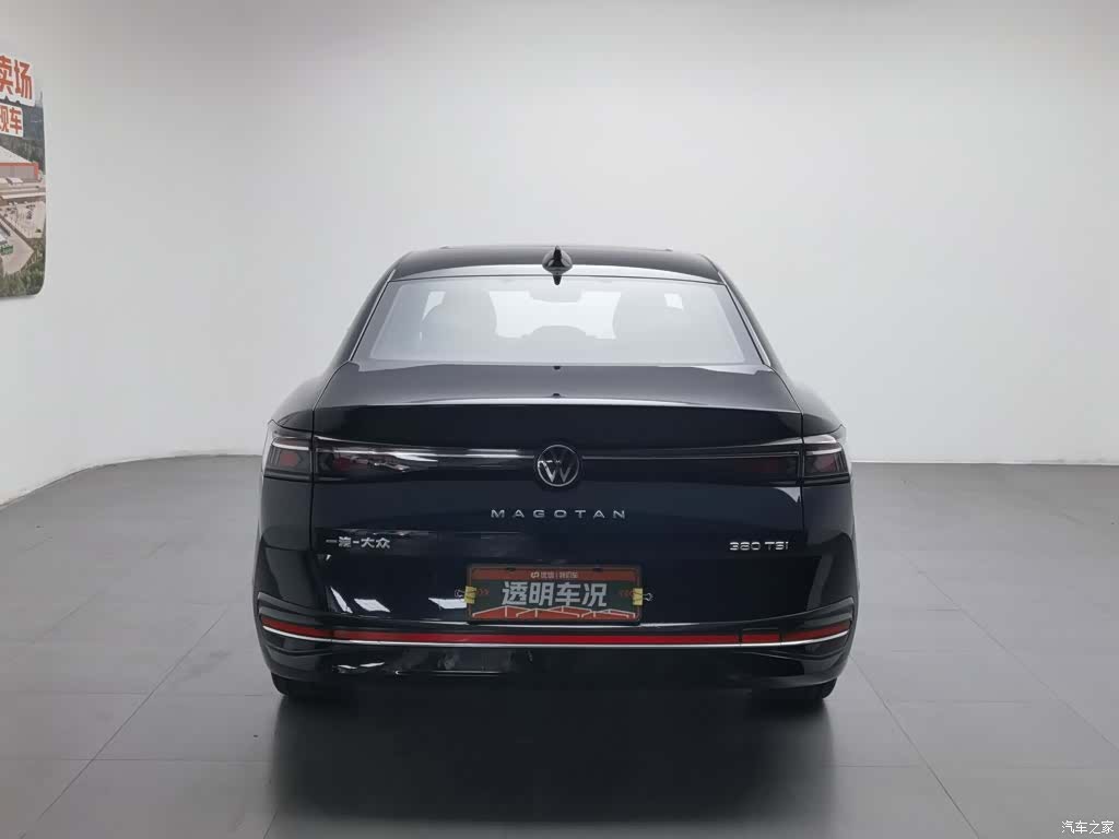 Volkswagen Magotan, 2024 4